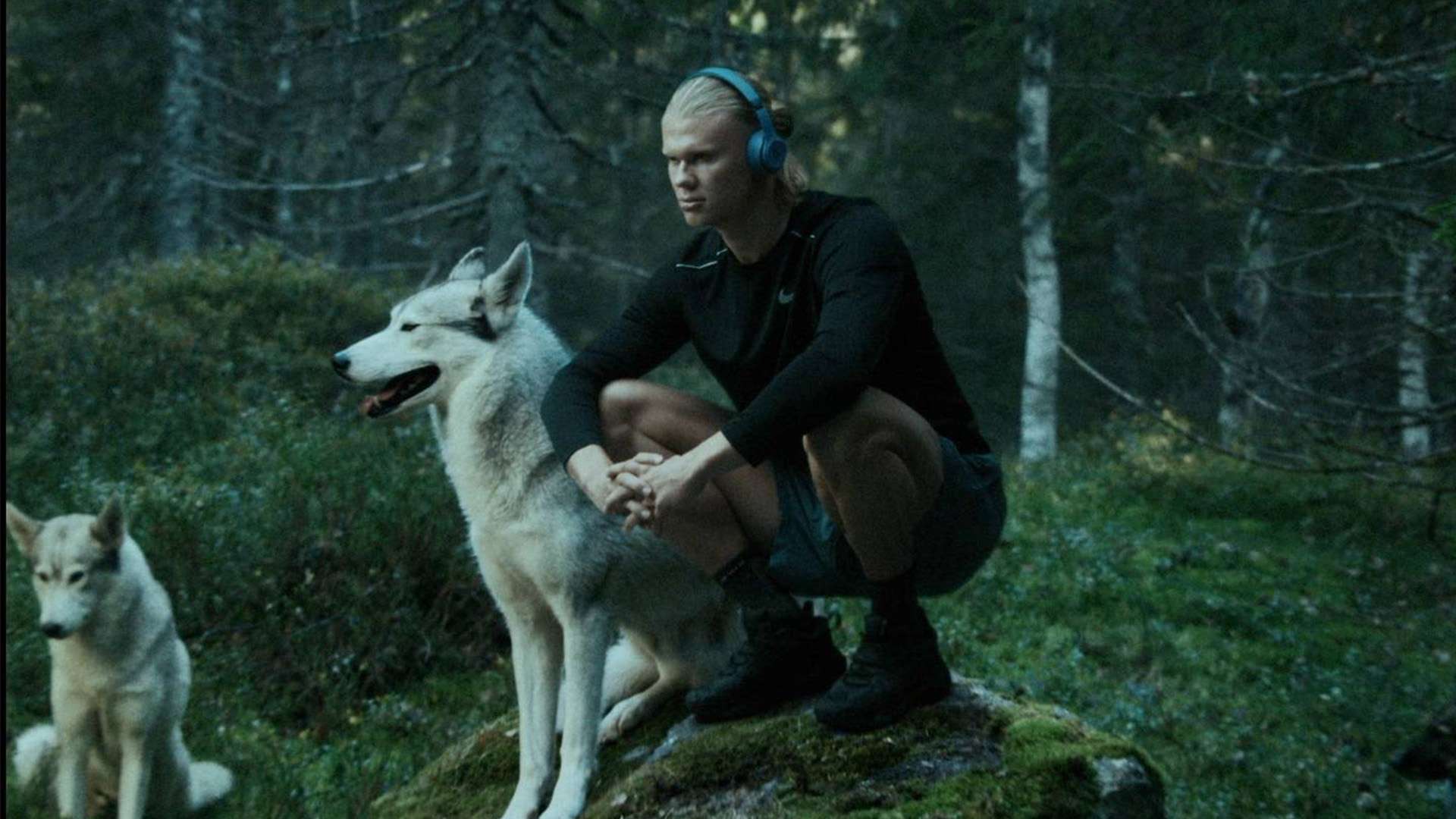 本赛季的利 本赛季的利