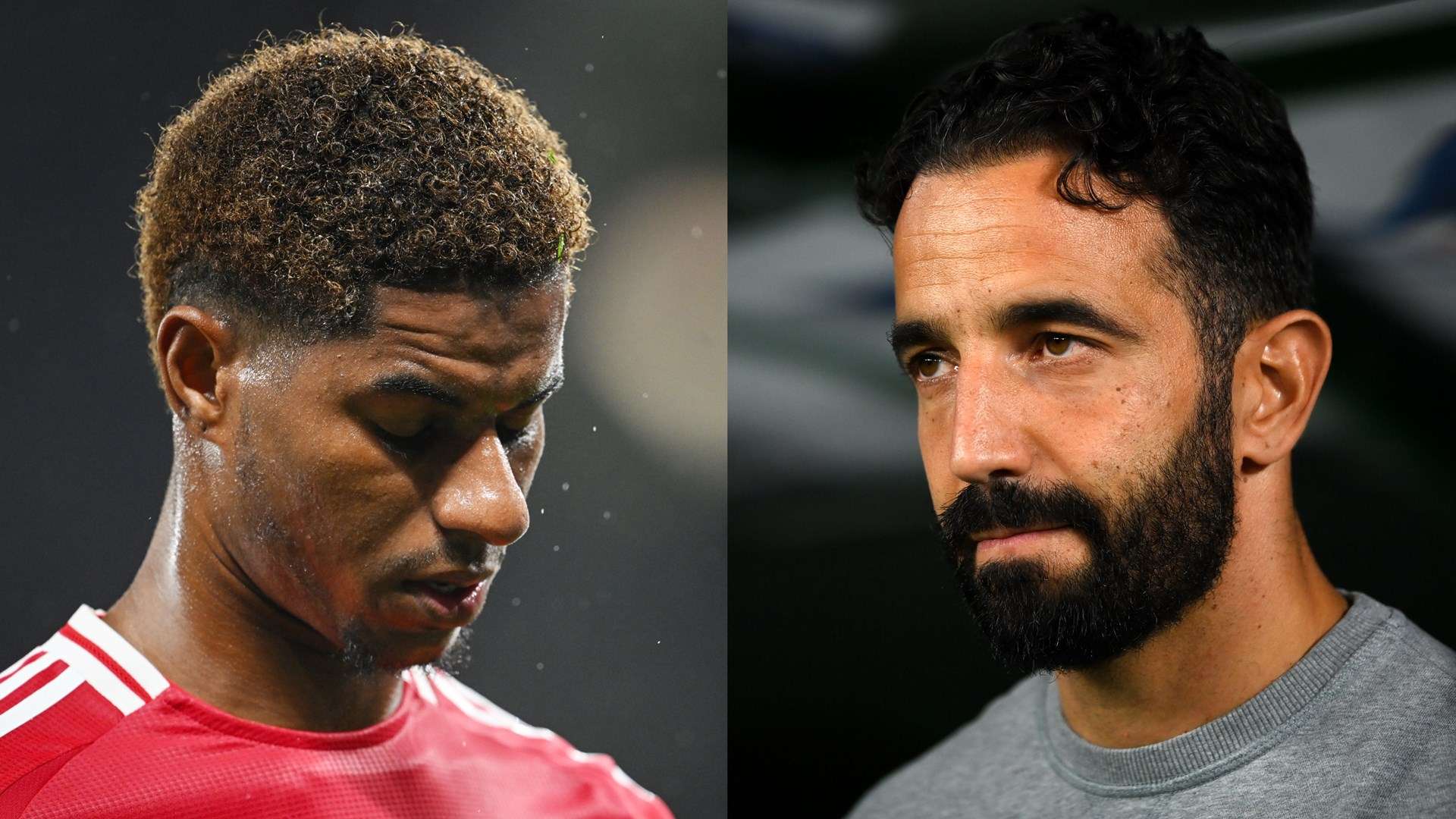 令人惊叹的 令人惊叹的